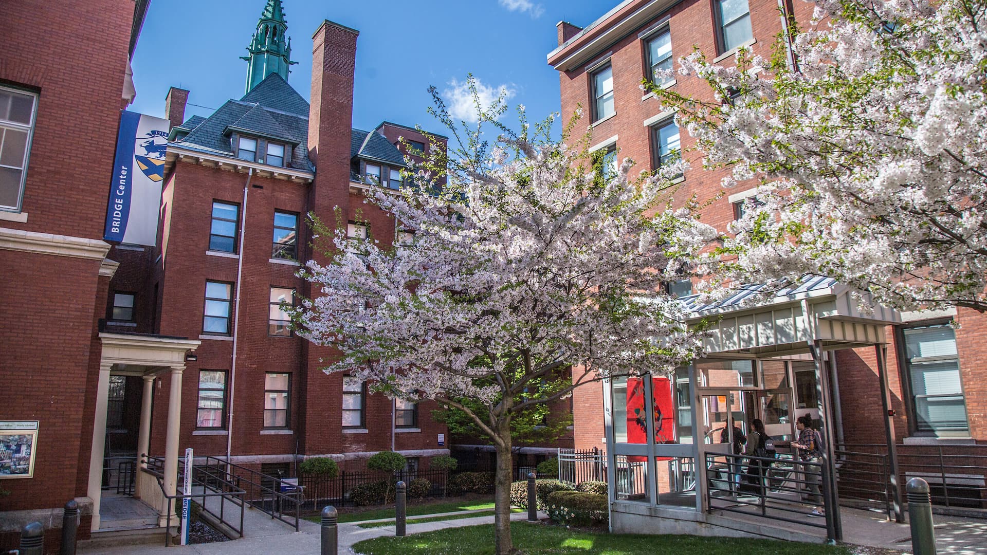 JWU's Bridge for Diversity, Equity & Social Justice advances a universitywide campus culture of inclusion, safety and discovery.