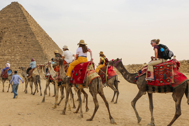 JWU students riding camels to the pyramids in Giza, Egypt.