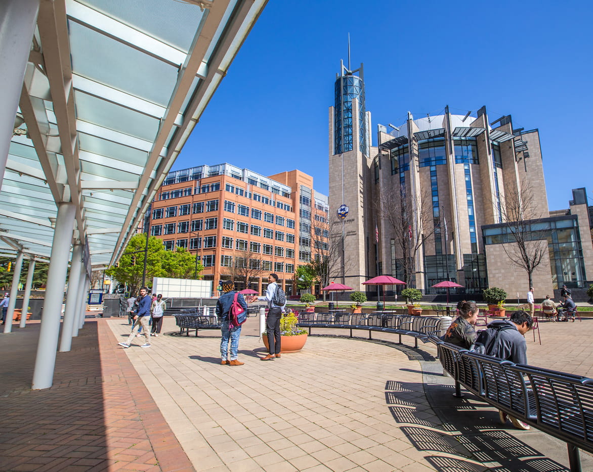 Landscape view of the Charlotte Campus Academic Center and quad.