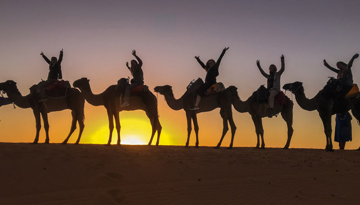 Students on sand dune on camels in Egypt