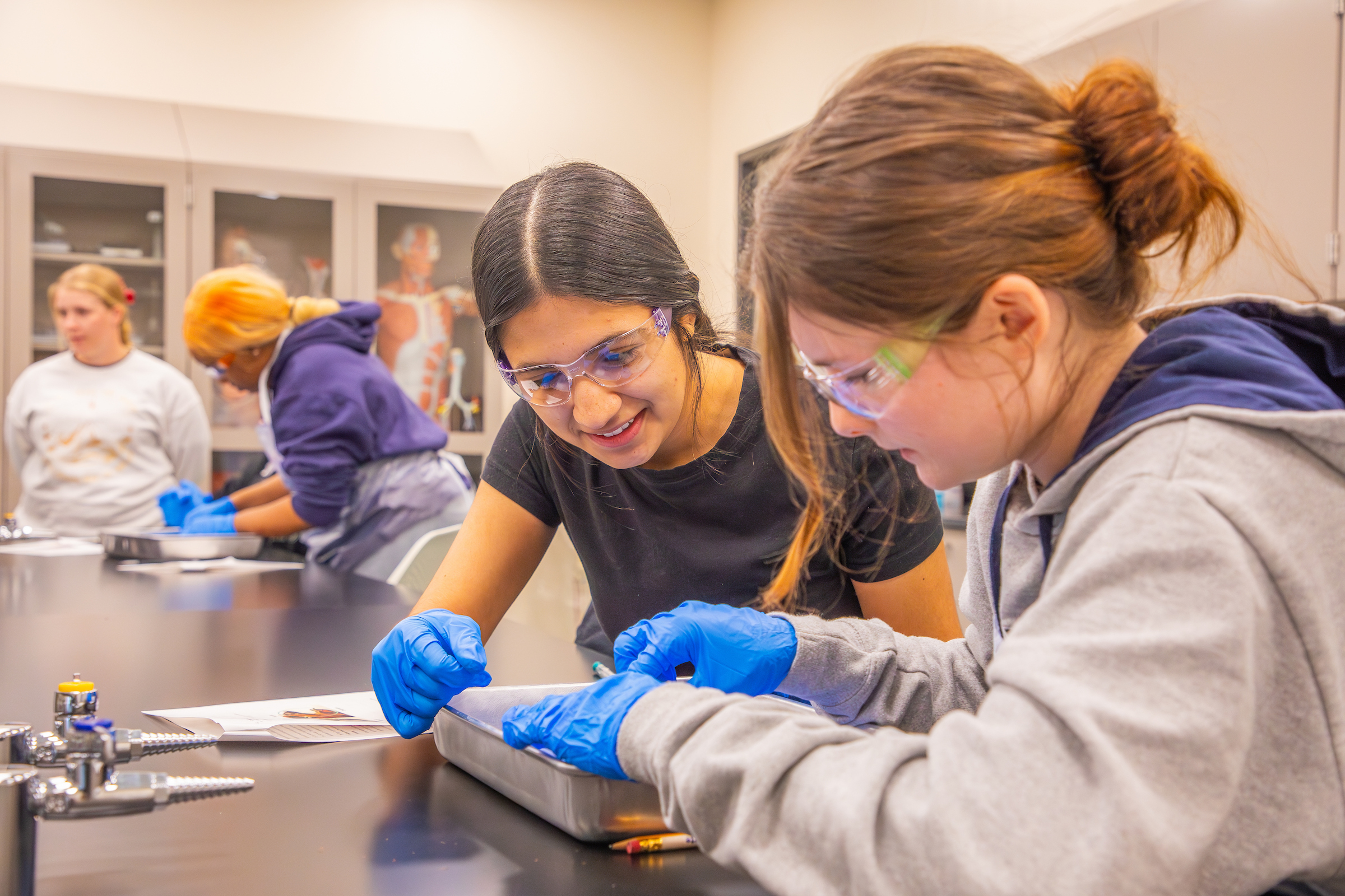 JWU Charlotte: Biology students collaborating on a project