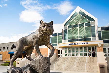 Statue of wildcat at Providence Campus