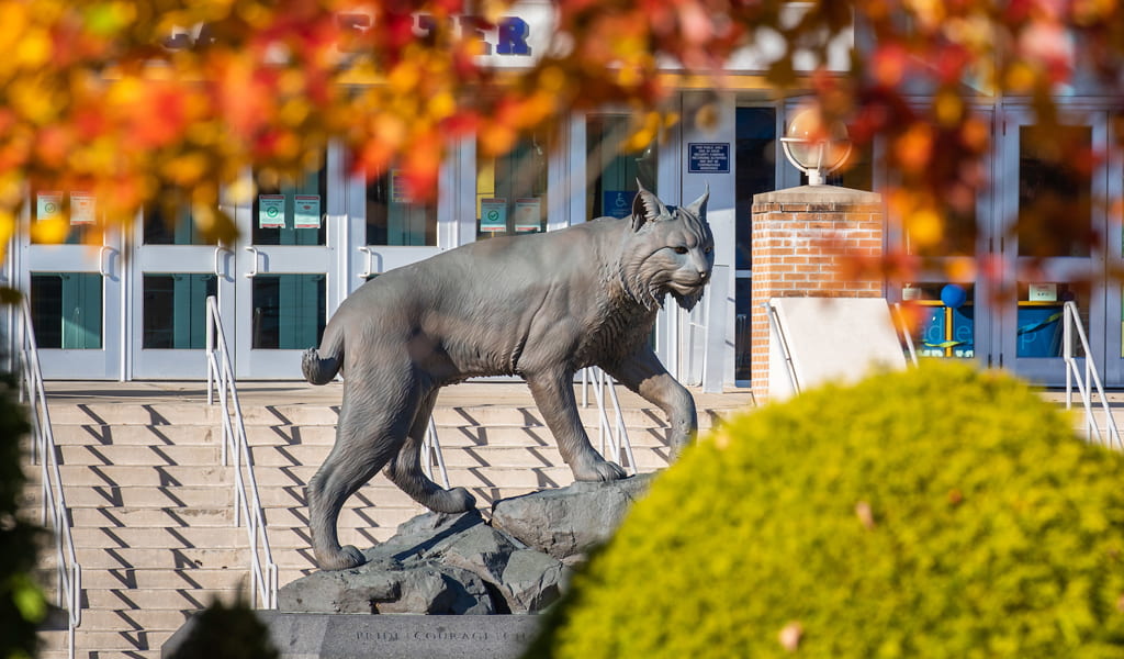 Wildcat statue at Harborside framed by fall foliage.