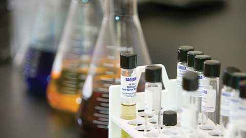Biology lab samples in test tubes
