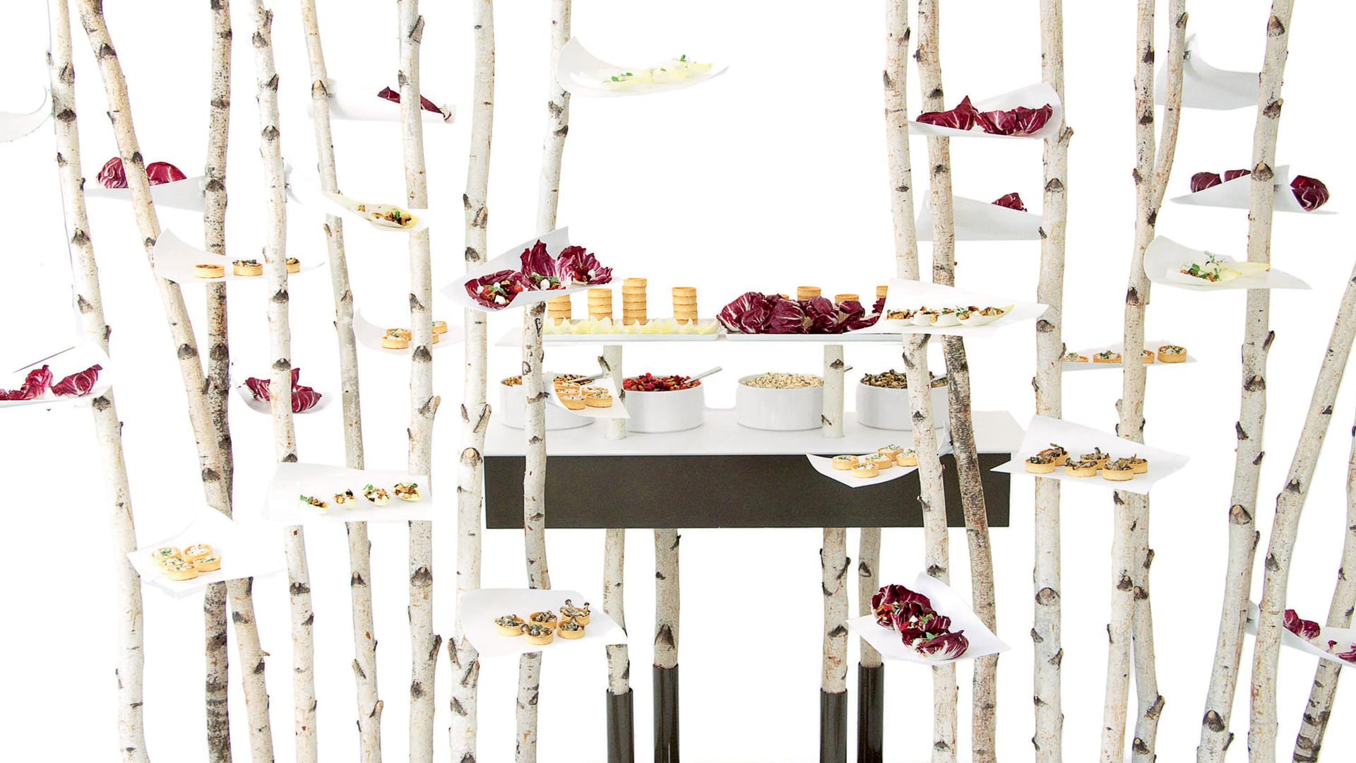 Photo of small plate food items beautifully displayed with birch trees