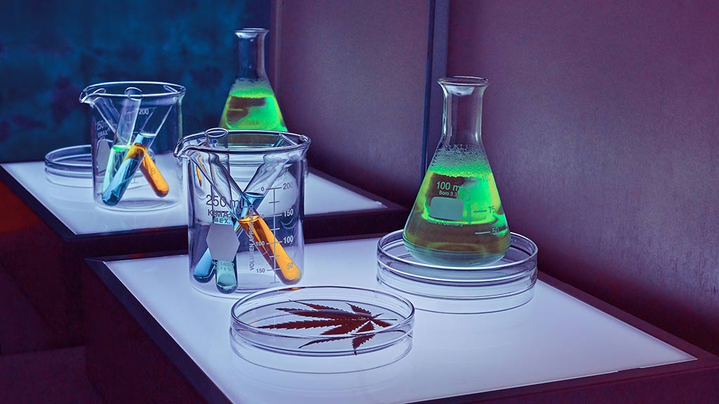 A photo of test tubes and a cannabis leaf in a petri dish