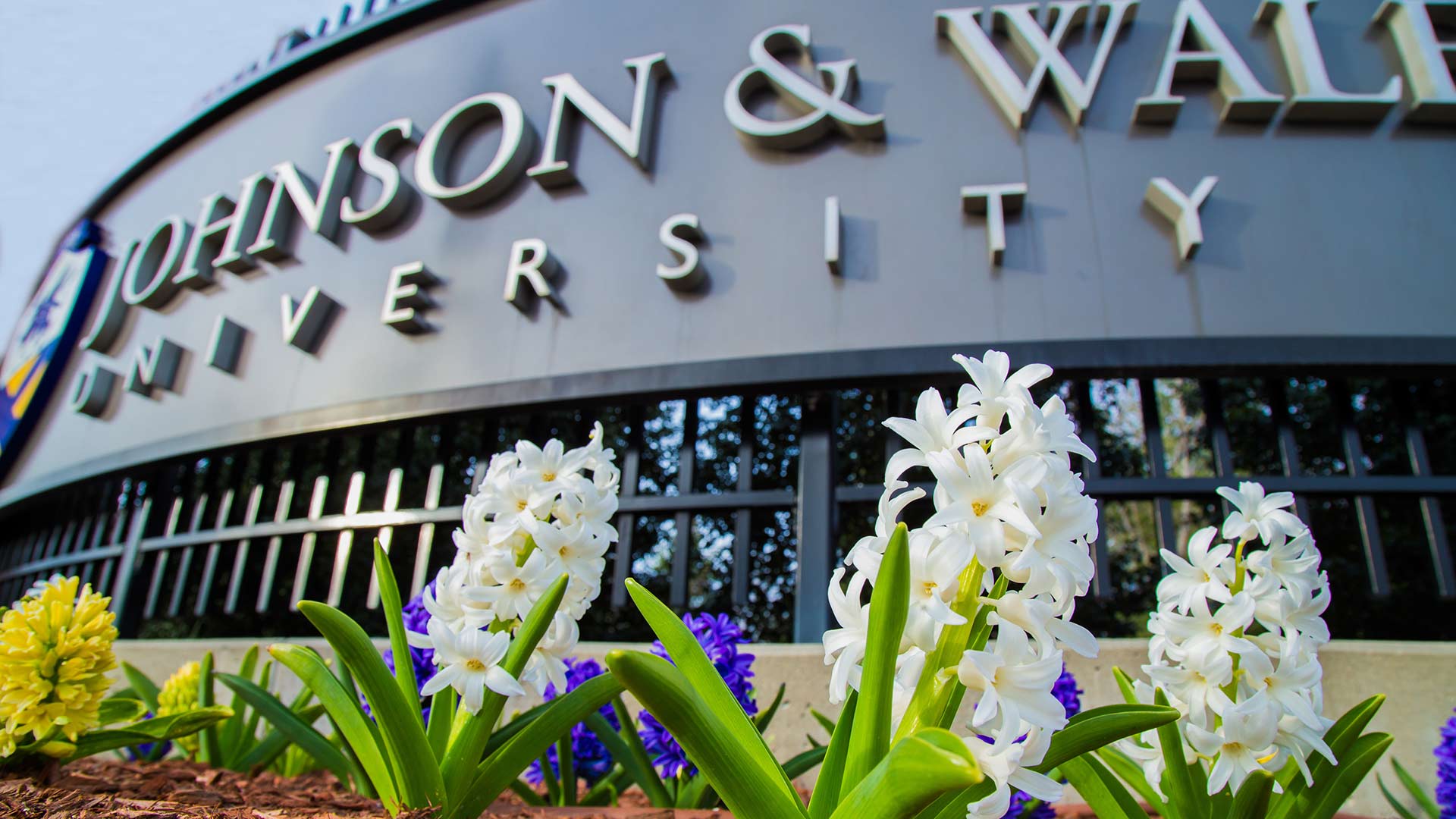 a photo of flowers in front of a Johnson & Wales sign
