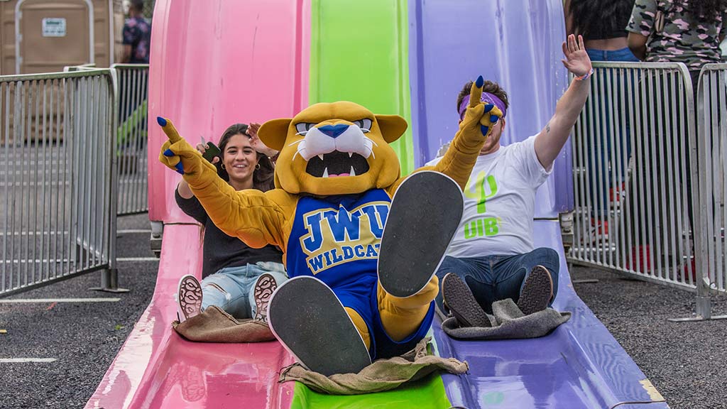 JWU's mascot Wildcat Willie on a slide with two students