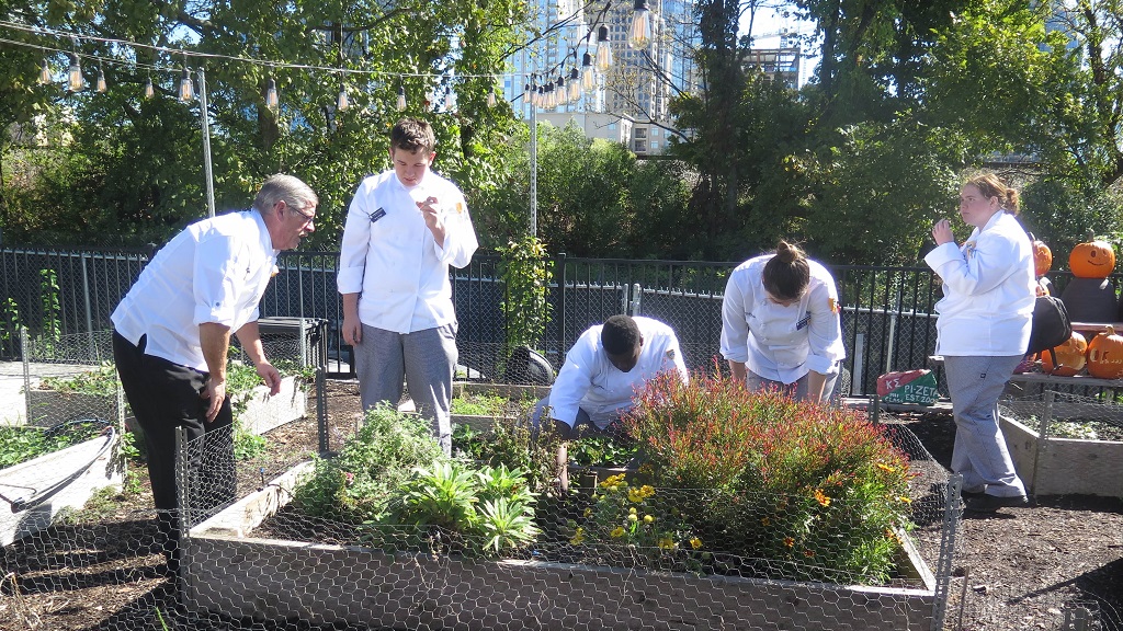 Students tend the outdoor garden at the COOP