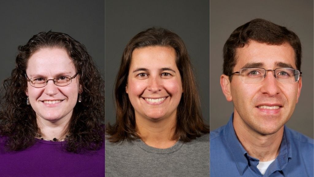 Three faculty members who led the telehealth research