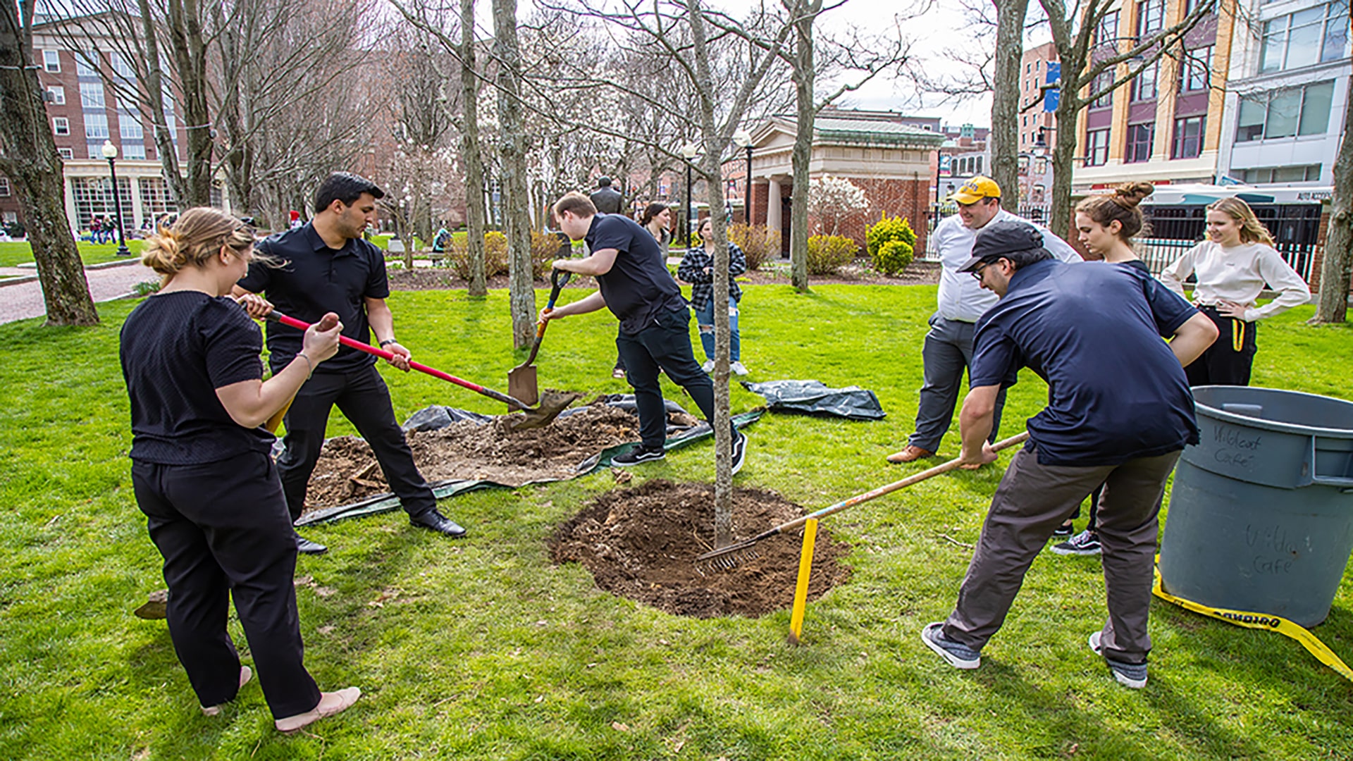 Students plant a tree at Gaebe Commons
