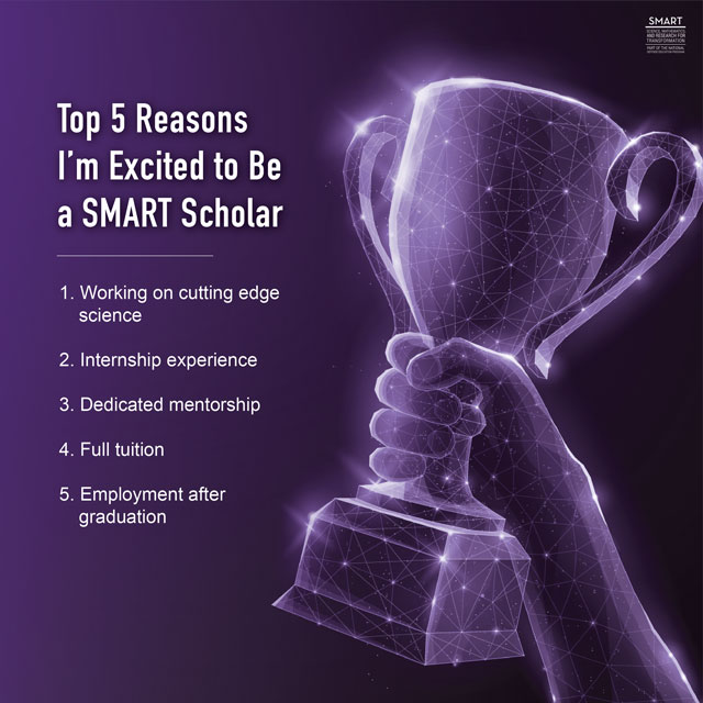 logo for the SMART Scholarship competition