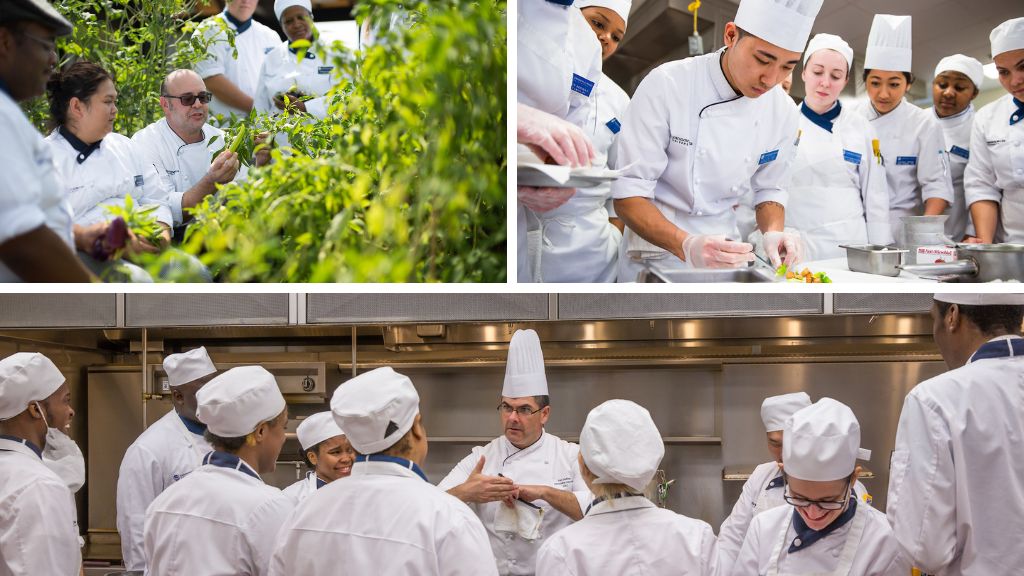 Collage of culinary students in garden and classroom