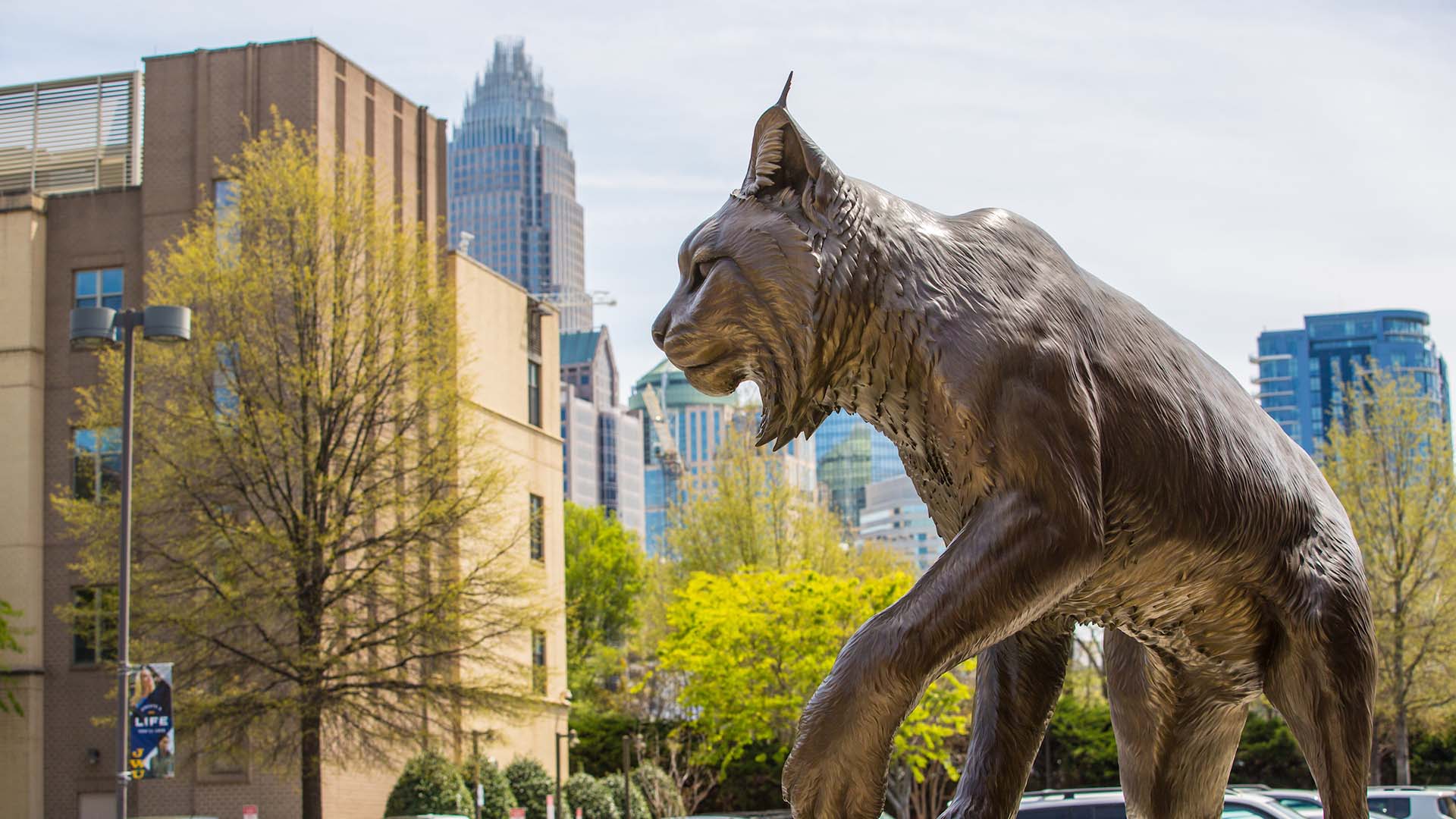Wildcat statue with the Charlotte city in the background