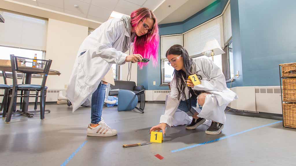 Criminal Justice students conduct mock crime scene investigations in the Crime Scene Lab.