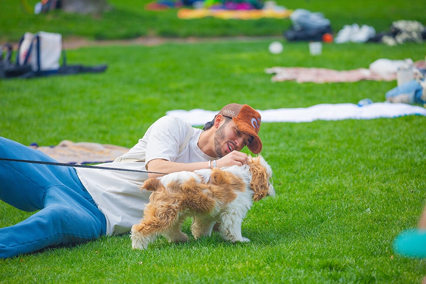 Student lays on grass and pets small dog on leash