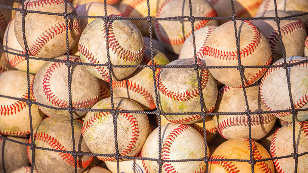 Baseballs in a netted bag