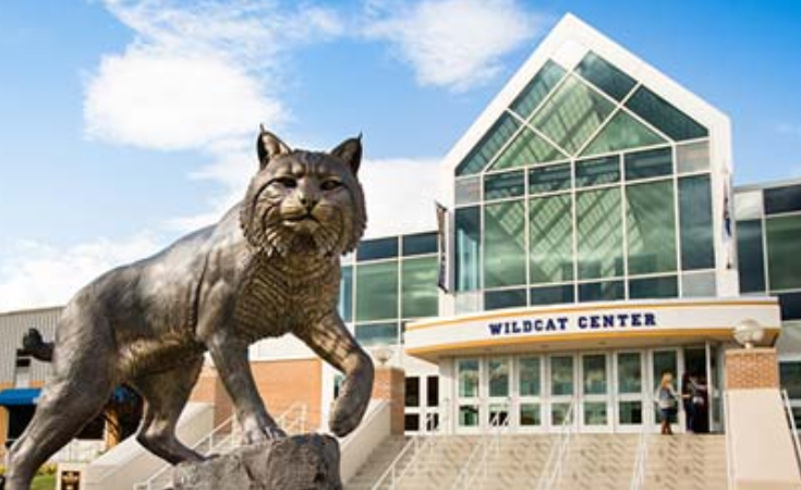 Wildcat Center